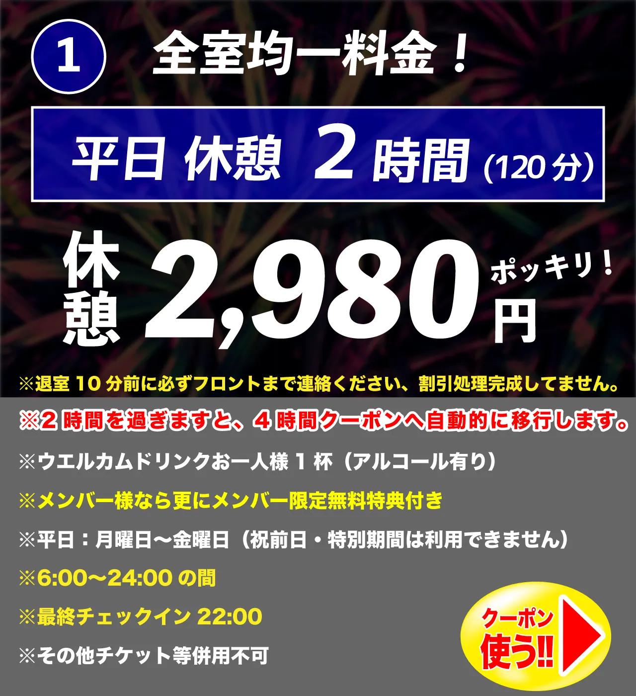 平日休憩2時間2,980円